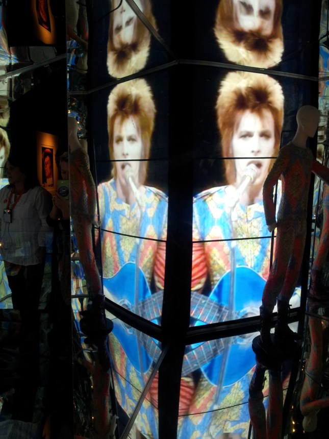 Beautiful brilliant Bowie baby!